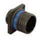 Amphenol Aerospace D38999/20JB35PA