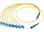 Molex QSFP-DD 16F Cable Assemblies