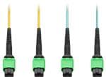 Amphenol ProLabs Cable Assemblies