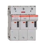 Mersen C331156 Büyütülmüş Görüntü