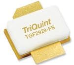 Qorvo TGF2929-FS Büyütülmüş Görüntü